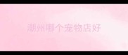 潮州哪个宠物店好