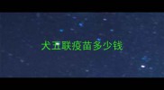 犬五联疫苗多少钱