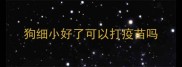 狗细小好了可以打疫苗吗