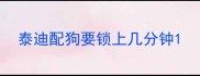 泰迪配狗要锁上几分钟