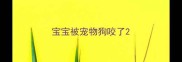 宝宝被宠物狗咬了