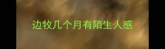 边牧几个月有陌生人感