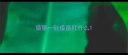 猫第一针疫苗打什么