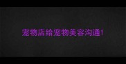 宠物店给宠物美容沟通