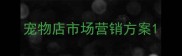 宠物店市场营销方案