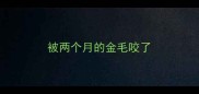 被两个月的金毛咬了