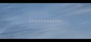英系金毛和美系金毛幼犬