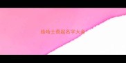 给哈士奇起名字大全