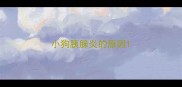 小狗胰腺炎的原因