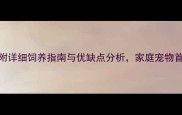 哈士奇适合饲养吗附详细饲养指南与优缺点分析家庭宠物首选还是高难度挑战