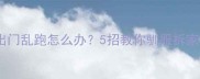 哈士奇出门乱跑怎么办5招教你驯服拆家小能手