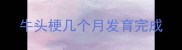 牛头梗几个月发育完成