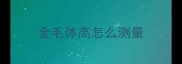 金毛体高怎么测量