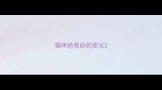 猫咪绝育后的变化