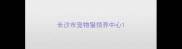 长沙市宠物猫领养中心