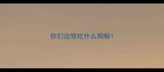 你们边牧吃什么狗粮