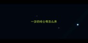 一岁的哈士奇怎么养