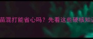 狗狗疫苗混打能省心吗先看这些硬核知识点