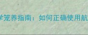 两个月大幼犬科学笼养指南如何正确使用航空箱及常见误区
