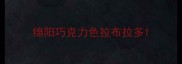 绵阳巧克力色拉布拉多