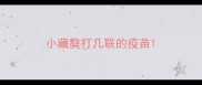 小藏獒打几联的疫苗