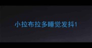 小拉布拉多睡觉发抖