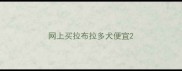 网上买拉布拉多犬便宜