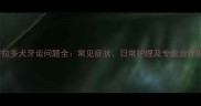 拉布拉多犬牙齿问题全常见症状日常护理及专业治疗指南