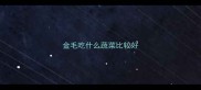 金毛吃什么蔬菜比较好