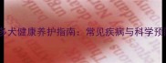 拉布拉多犬健康养护指南常见疾病与科学预防方法