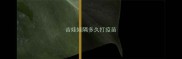 吉娃娃隔多久打疫苗