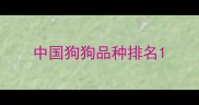 中国狗狗品种排名