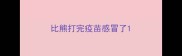 比熊打完疫苗感冒了