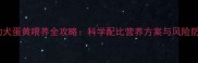 哈士奇幼犬蛋黄喂养全攻略科学配比营养方案与风险防控指南