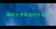 猫咪大便带血吃什么药