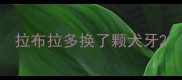 拉布拉多换了颗犬牙