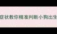 母狗临产前必看5大症状教你精准判断小狗出生时间养狗人必存
