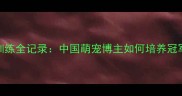 哈士奇训练全记录中国萌宠博主如何培养冠军级冰墩墩
