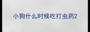小狗什么时候吃打虫药