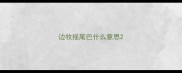 边牧摇尾巴什么意思