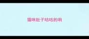 猫咪肚子咕咕的响