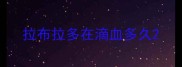 拉布拉多在滴血多久
