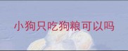 小狗只吃狗粮可以吗