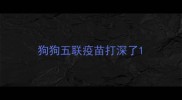 狗狗五联疫苗打深了