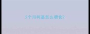 2个月柯基怎么喂食
