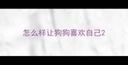 怎么样让狗狗喜欢自己