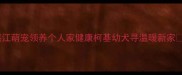 湛江萌宠领养个人家健康柯基幼犬寻温暖新家