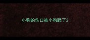 小狗的伤口被小狗舔了