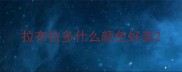 拉布拉多什么颜色好卖