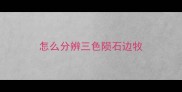 怎么分辨三色陨石边牧